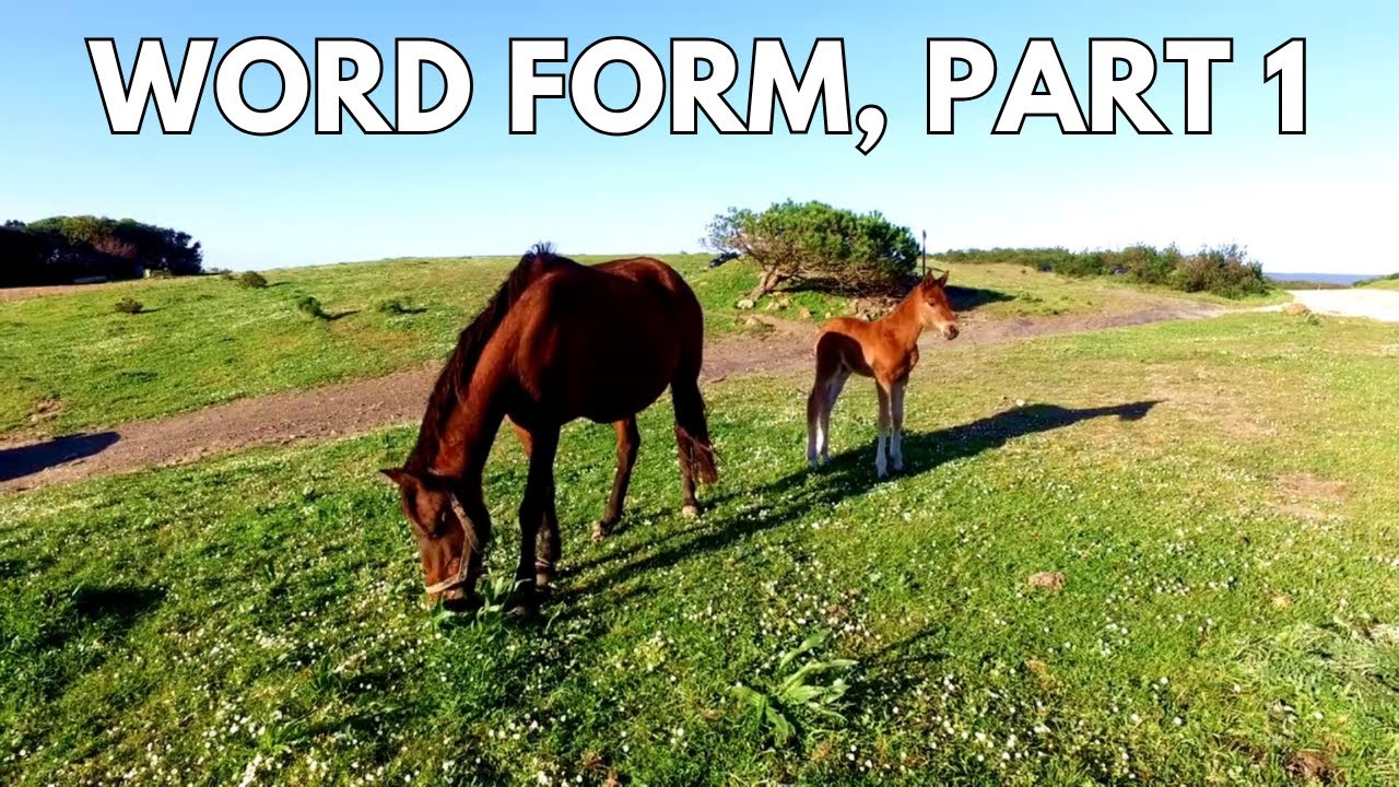 Intro to Word Form, Part 1. 5th grade math.