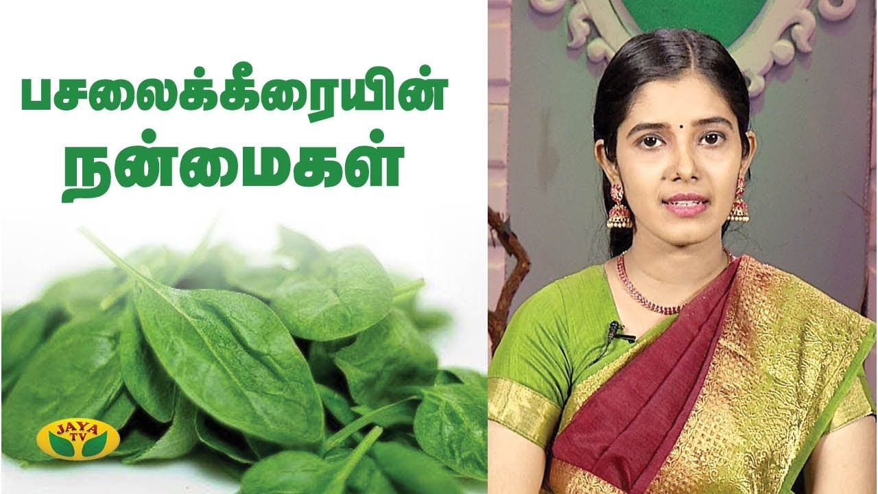பசலைக்கீரை மருத்துவ பயன்கள் | Benefits Of Spinach | Nutrition Diary | Jaya TV