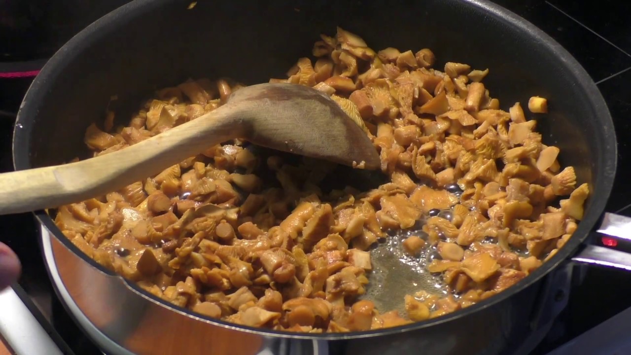 Kantarellikastike