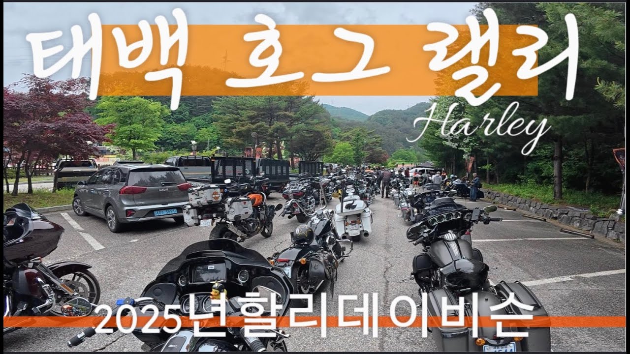 [27회 코리아 내셔널 호그 랠리 H.O.G] #할리데이비슨 #할리했어오늘도 #할리 #베트남 #베트남여행 #다낭 #travel #여행 #오토바이대여 #오토바이라이딩 #오토바이여행