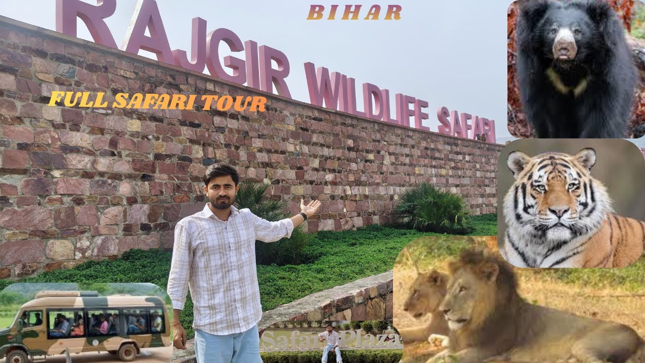 Rajgir Zoo Safari | Ticket, Animals & Travel Guide | Rajgir Wildlife Safari 2026 🦁 | Honest Review