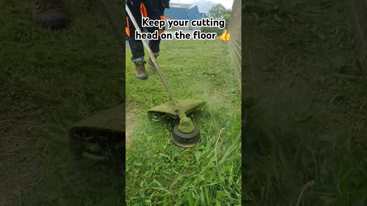 How to cut down long grass with a string trimmer / strimmer / weed whacker  #shorts #diy #gardening