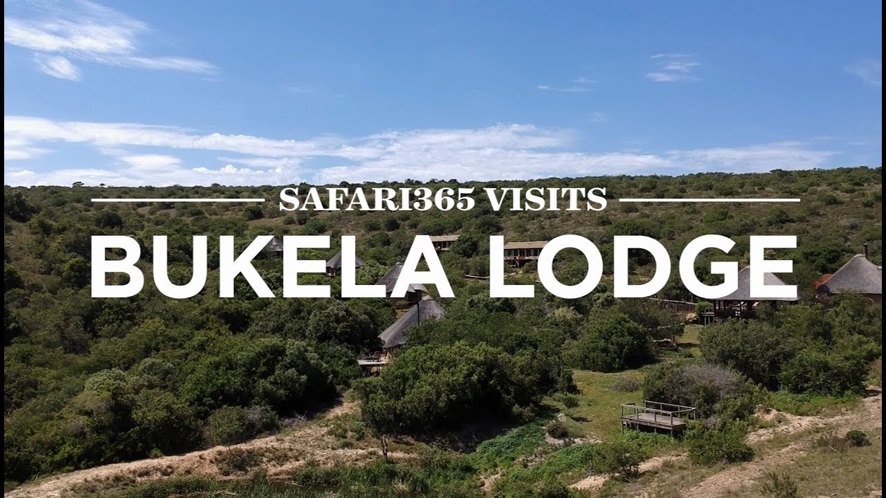 Bukela Lodge, Eastern Cape, South Africa | Safari365