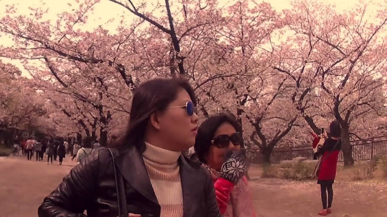Kokoro No Tomo - Mayumi Itsuwa (Saxophone Cover)