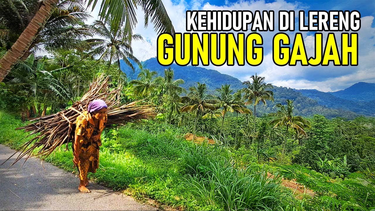 Kakek Nenek Bertahan hidup di Lereng Gunung Gajah