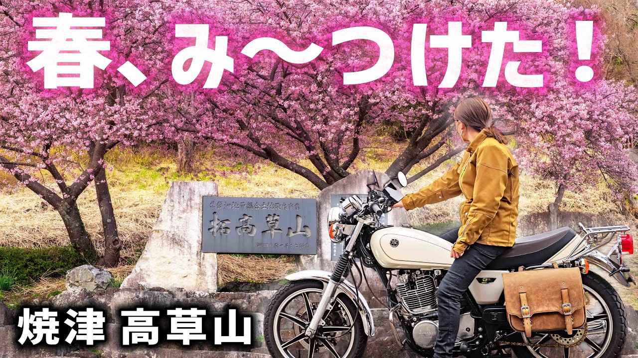 【バイク女子】焼津・高草山で河津桜ツーリング🌸一足早い春を見つけた日。