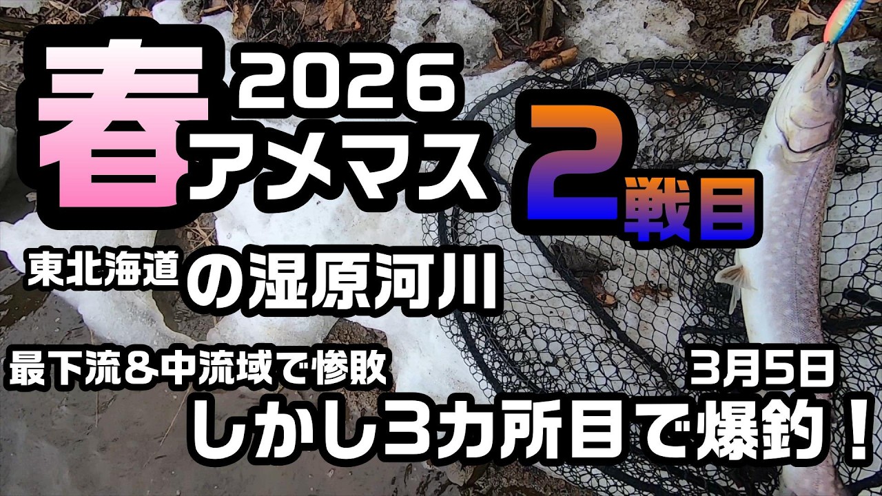 春の下りアメマス釣り2026 2戦目 【北海道の釣り】