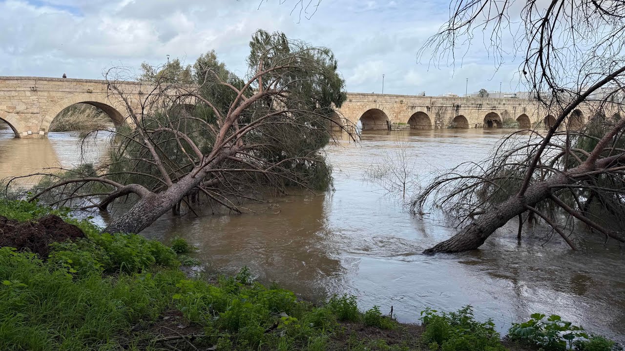 Inundaciones en el Río Guadiana, Mérida TvArild 2/12-2026