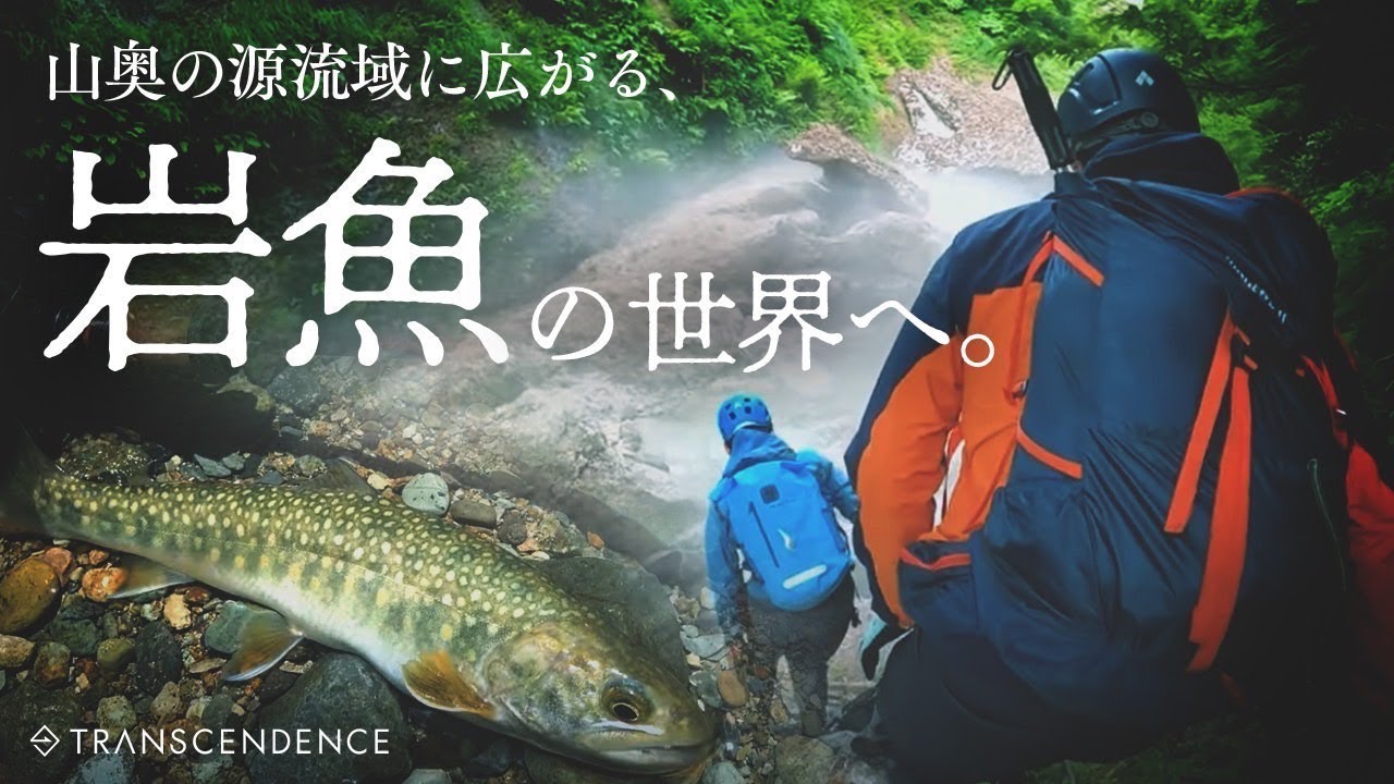 【源流釣り】山の厳しさと対峙した結果　ートランスセンデンスDwarveXXイワナ釣り