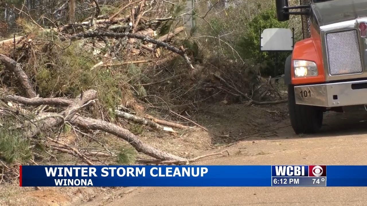 Winona starts call to action for debris pickup from winter storm