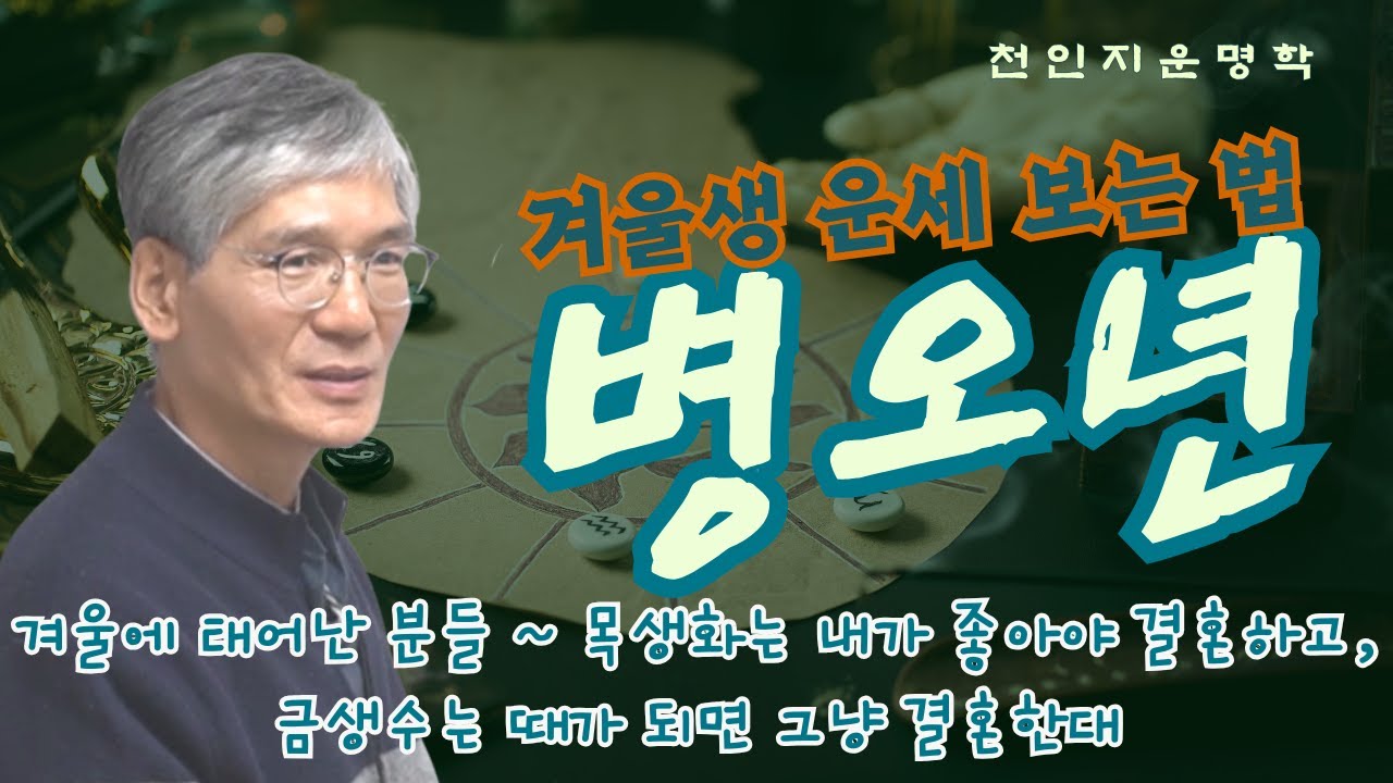 겨울생 운세 보는 법 : 병오년