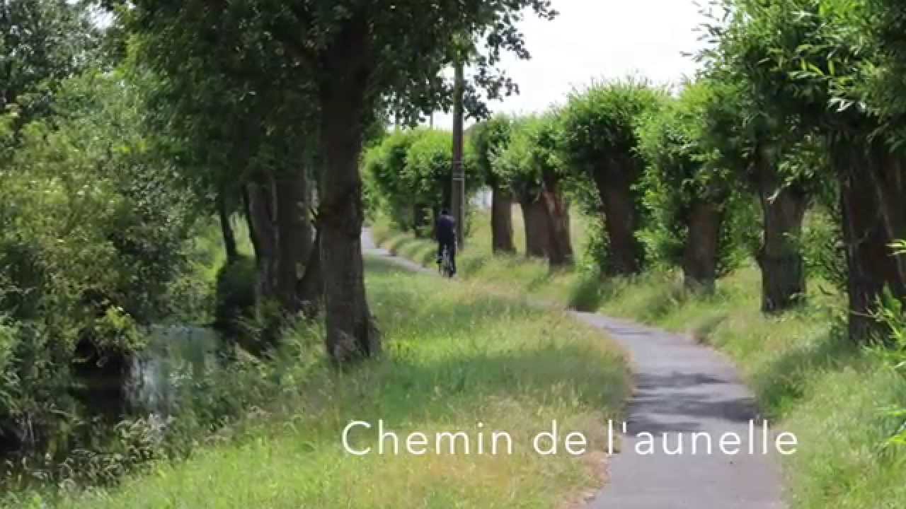 Bienvenue à Quiévrechain -  Comité des villes fleuries