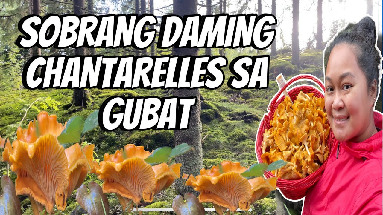 BUMAHA SA SOBRANG DAMI NG LIBRENG KABUTE🥹🥹🥹|| THE LINDEMANS