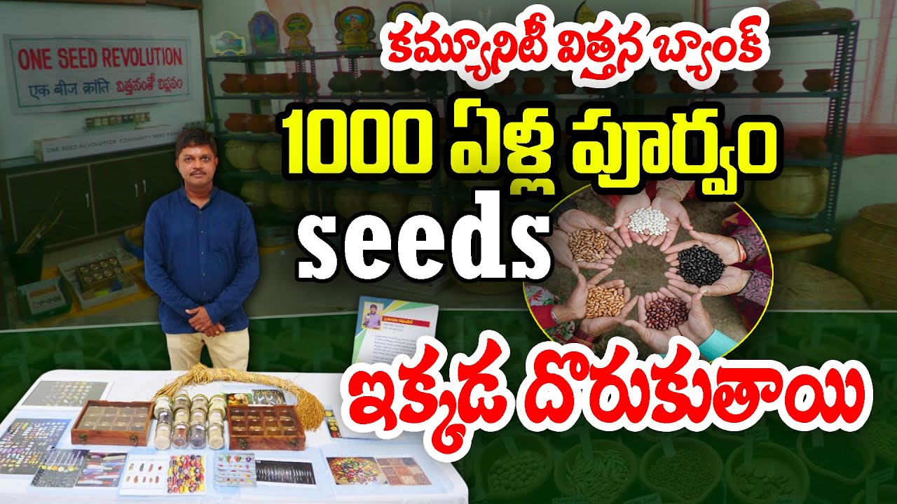విత్తనంతో విప్లవం - Seeds రక్షణ - విస్తరణ | #CommunitySeedBank | #raghuveer  #paddy #desiseeds