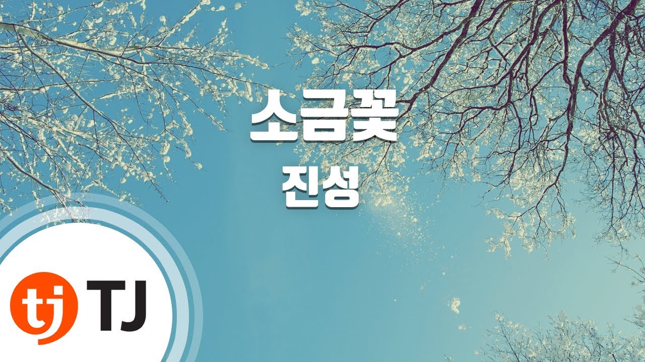 [TJ노래방] 소금꽃 - 진성 / TJ Karaoke