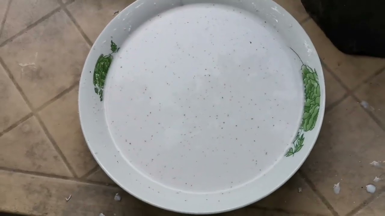 Ginataang Gabe w/ Laing #buhayprobinsya