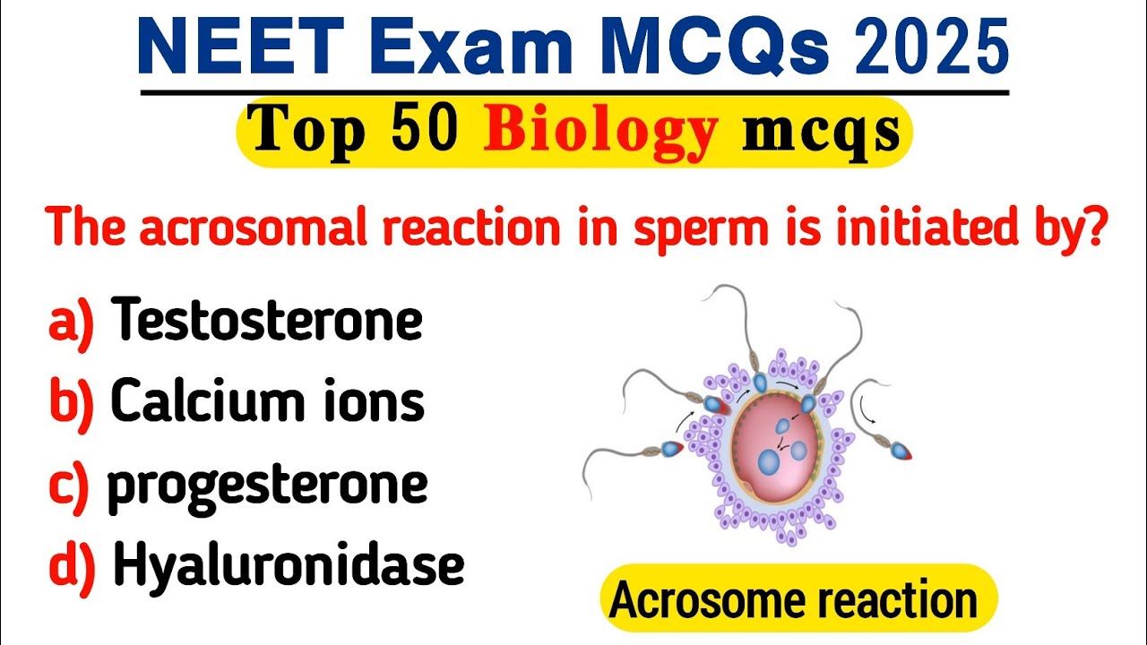 Biology MCQ 2025 | NEET Biology MCQs | MCQ of Biology for NEET | MCQ of Biology for NEET |