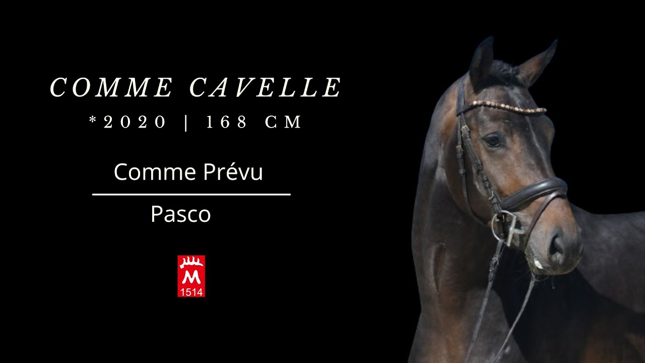 Comme Cavelle *2020 v. Comme Prévu - Pasco