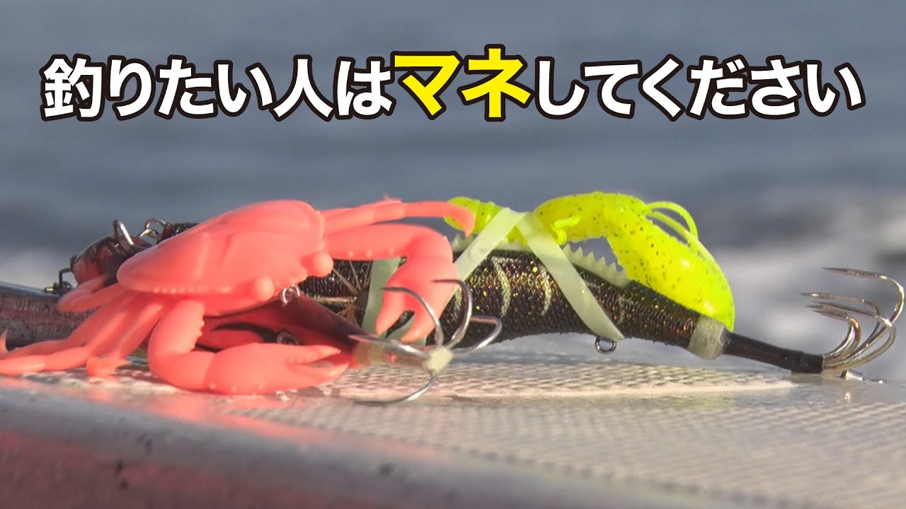 【船タコ】釣っている人だけが知っているアタリの真実｜ガッ釣り関西256