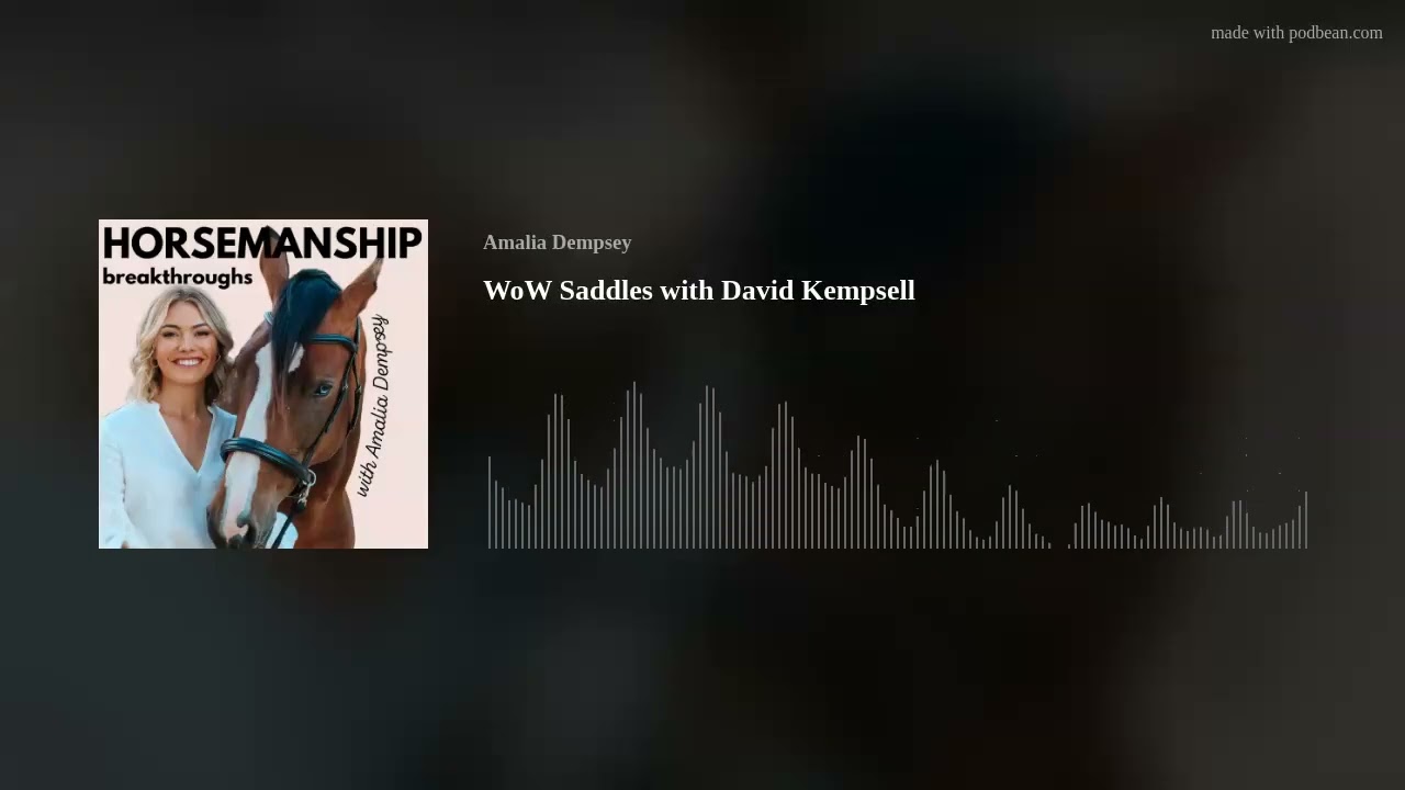 WoW Saddles with David Kempsell