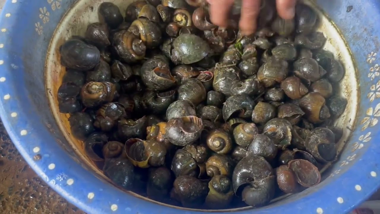 Đi chợ ở buôn hô đắc lắc 
