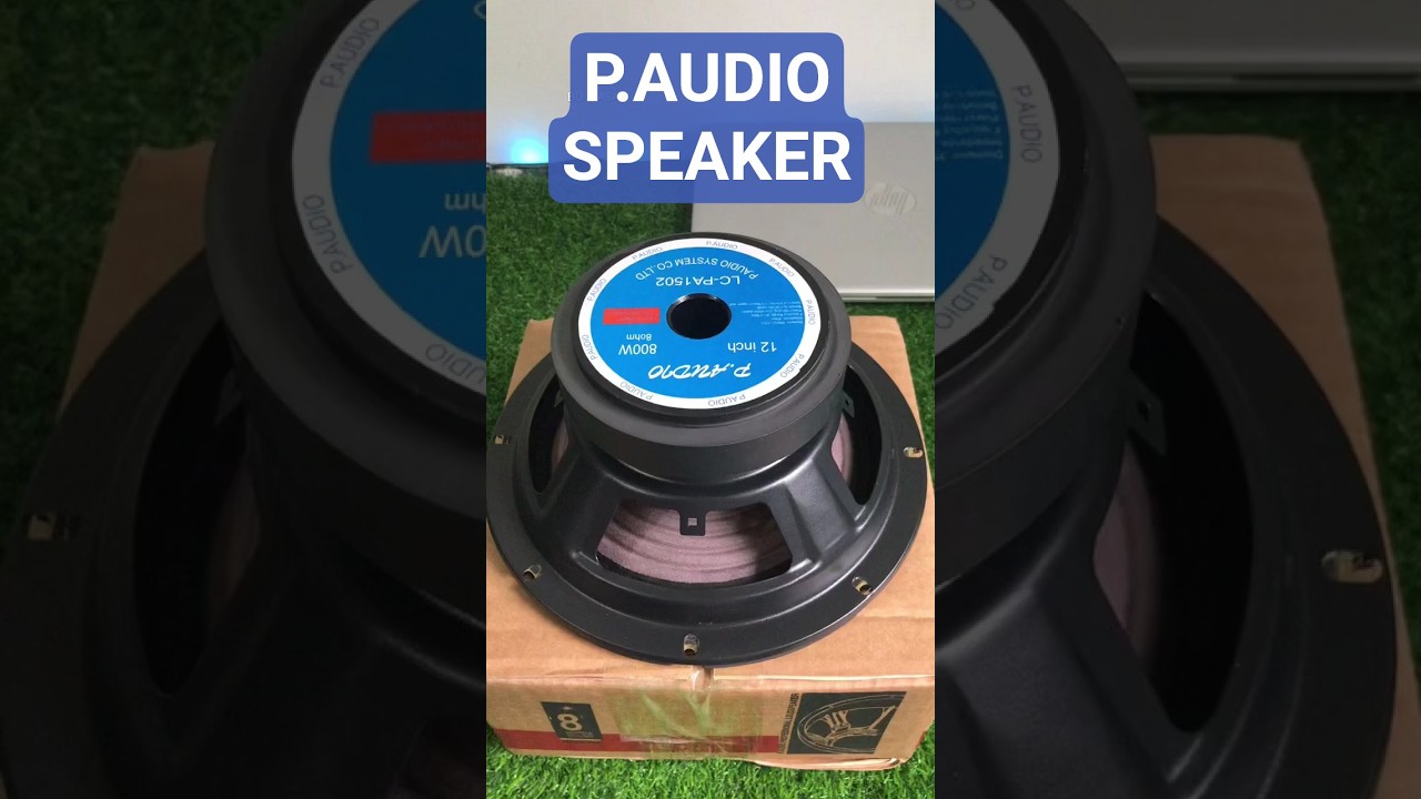 P.AUDIO 8 inch professional Speaker short review | 8 inch P.AUDIO speaker available 📞 01627163286