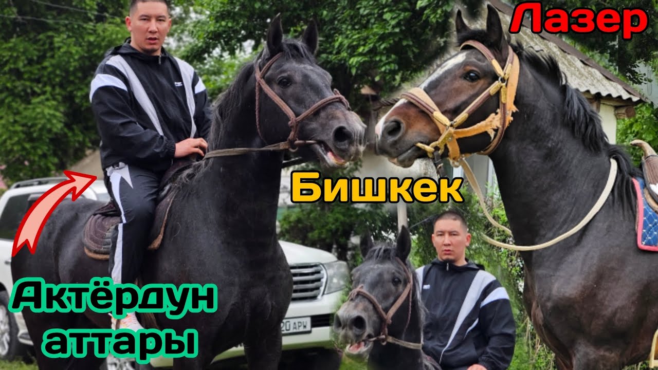 ЛАЗЕР менен Бишкек АКТёРДУН аттары 💥Бек Бостонбаев⭐️ 5 мая 2024 г.