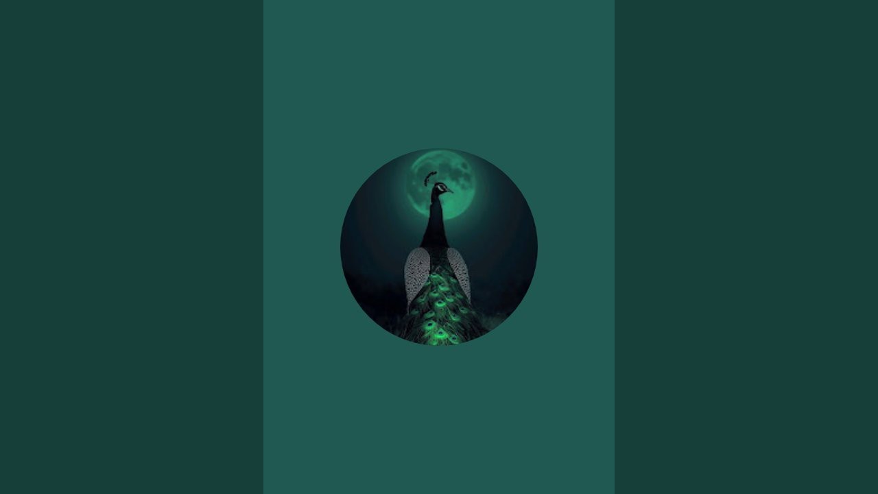 🔴 LIVE: Can You Find the Hidden 03? 