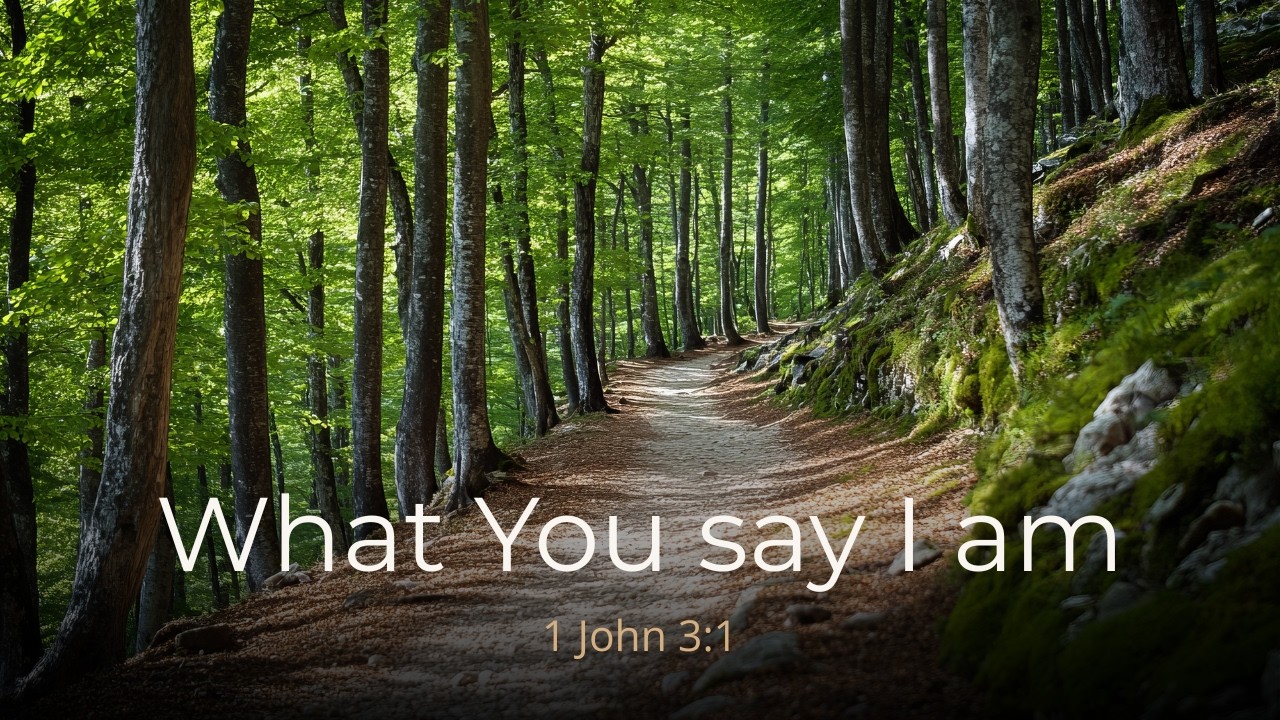 What You say I am | Country Worship Song | Lyric Video | Faith-filled Notes