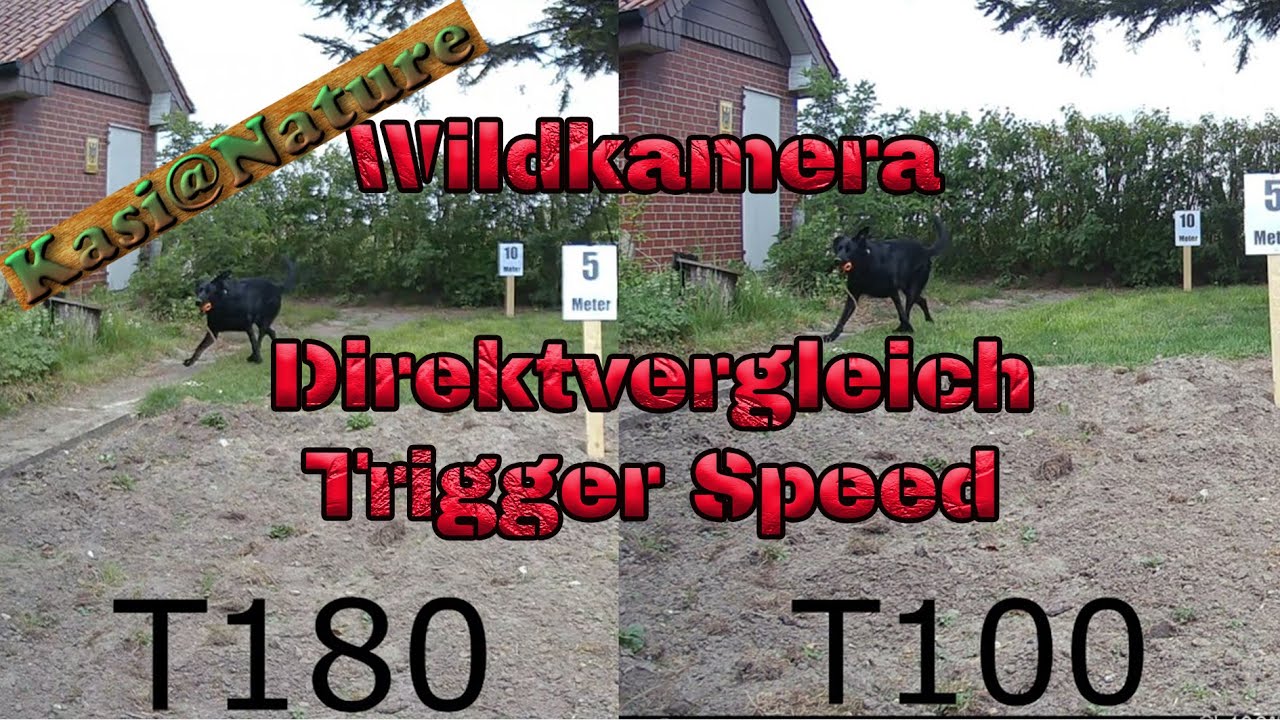 Wildkamera Campark t100  T180 im Vergleich. Trigger Speed Test , Referenzaufnahmen  Empfehlung !