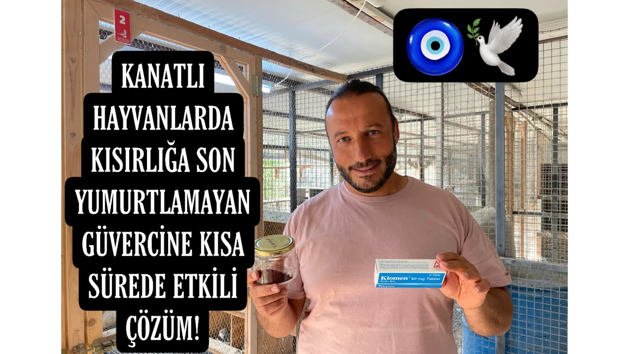 Kanatlı Hayvanlarda  Kısırlığa Son-ETKİLİ ÇÖZÜM