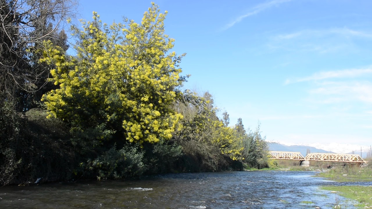 RIO CLARO DE RENGO