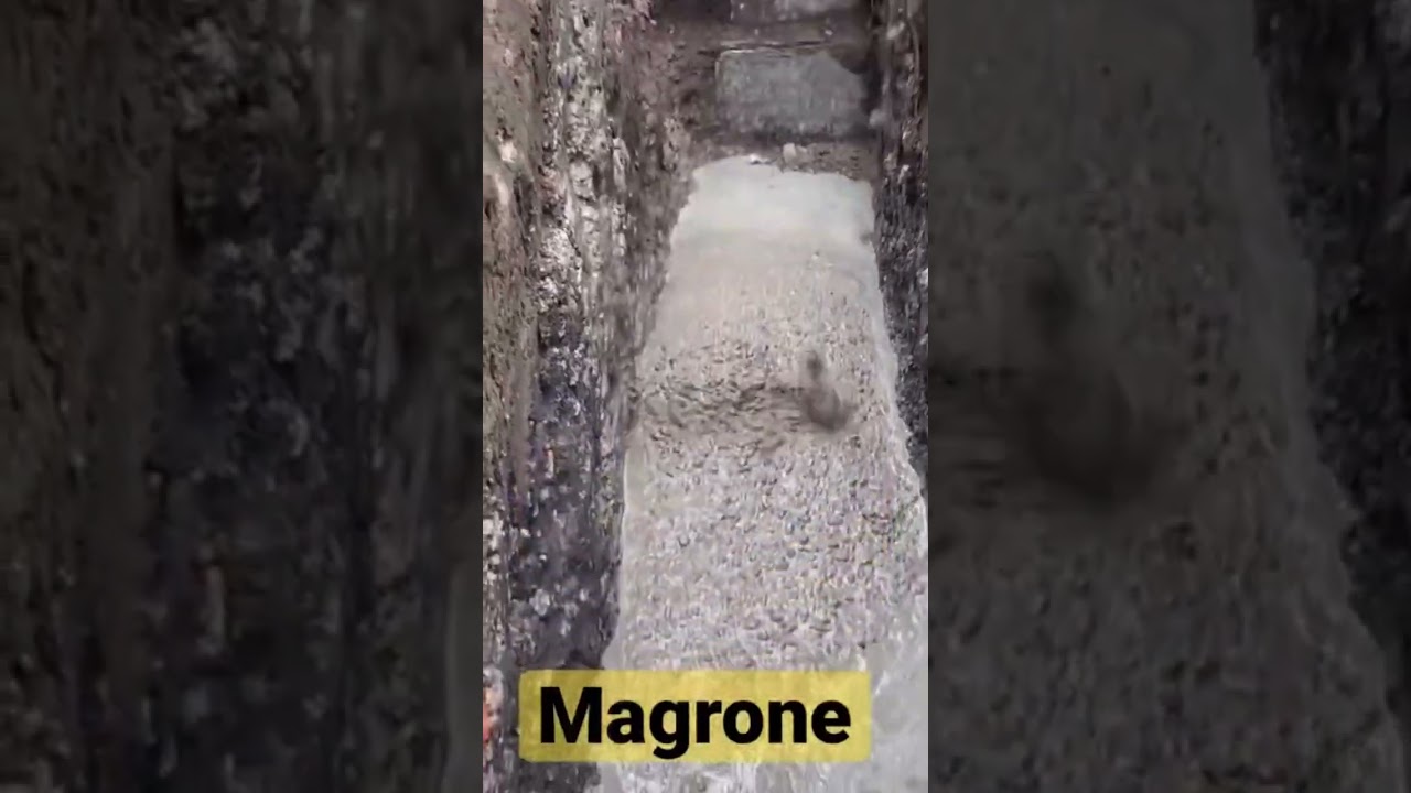 Magrone