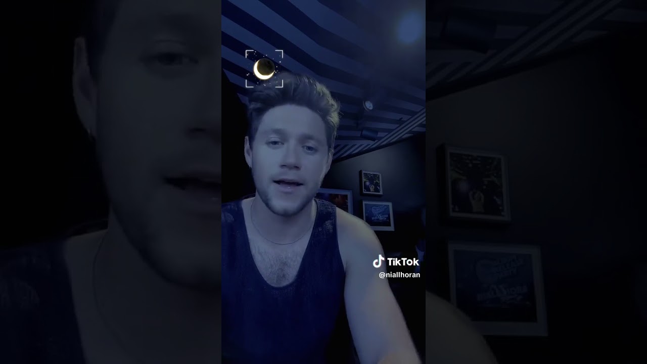 niall horan tiktok 