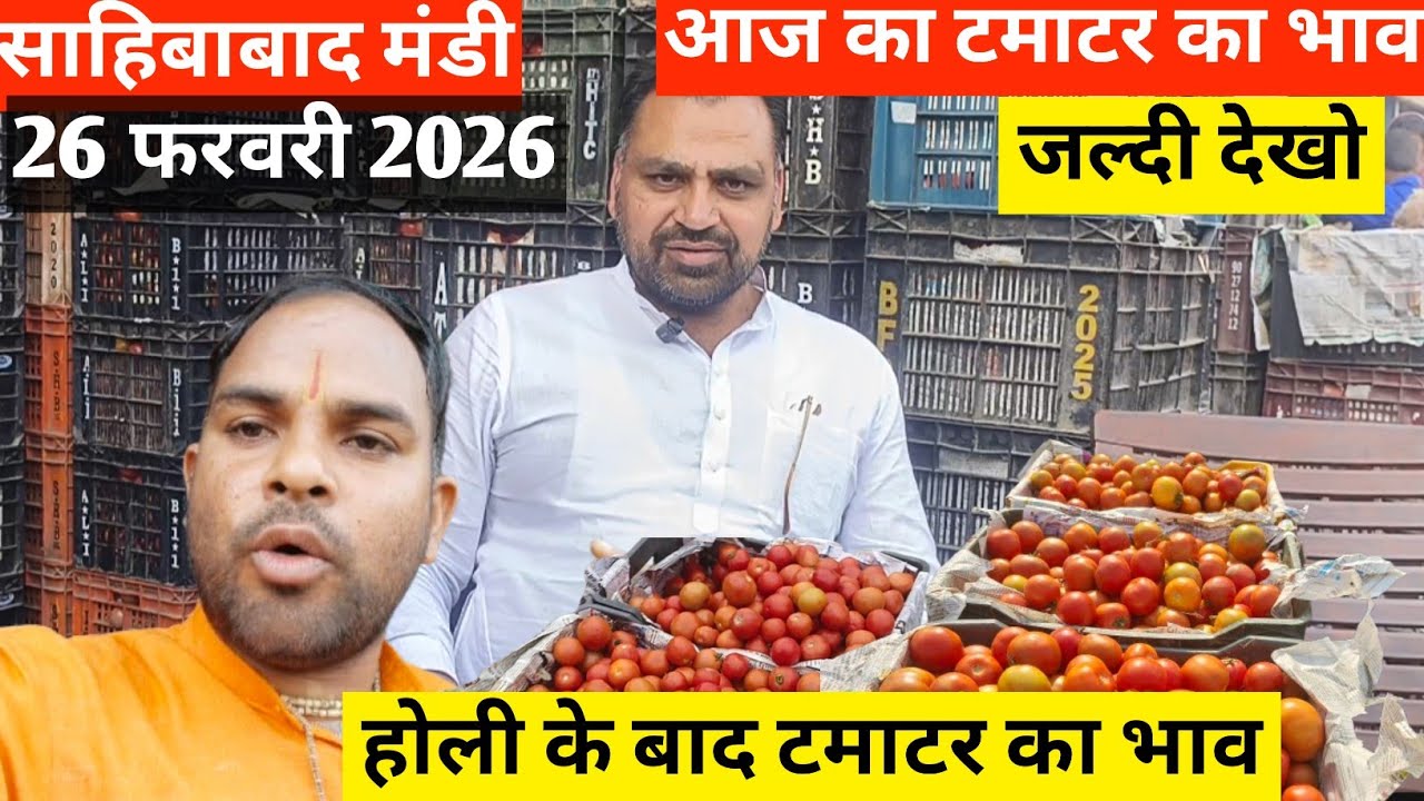 Why This Indian Mandi is Full of Tomatoes 🍅आज का टमाटर  भाव
