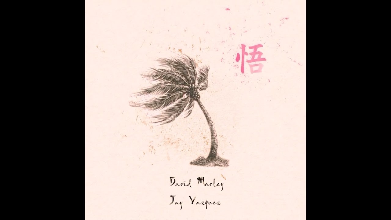 David Marley, Jay Vazquez - VIDABUENA (Audio) 悟り