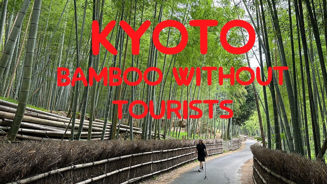 Japan 28 Days - Day 22 - Bamboo Without Tourists