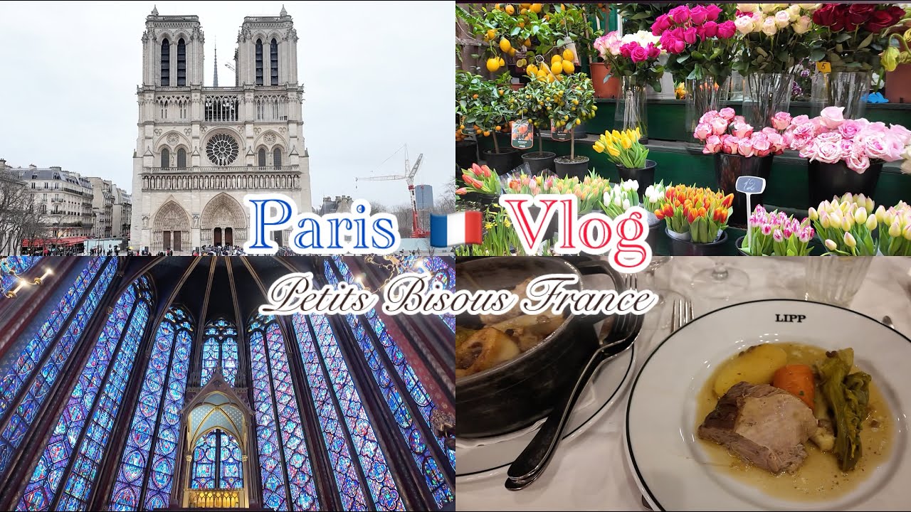 【パリ】４時間半で周る半日観光🇫🇷老舗ブラッスリーでランチ🍽火災から復活したノートルダム大聖堂の内部見学とシャン・シャペルのステンドグラス⛪️日曜花市🌷メトロチケットの買い方
