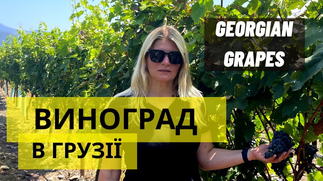 Вирощування винограду в Грузії