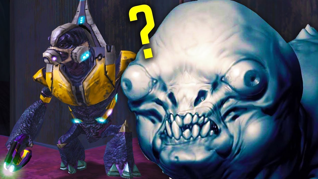 Halo Lore - Why are female Grunts not in gameplay? (or jackals)