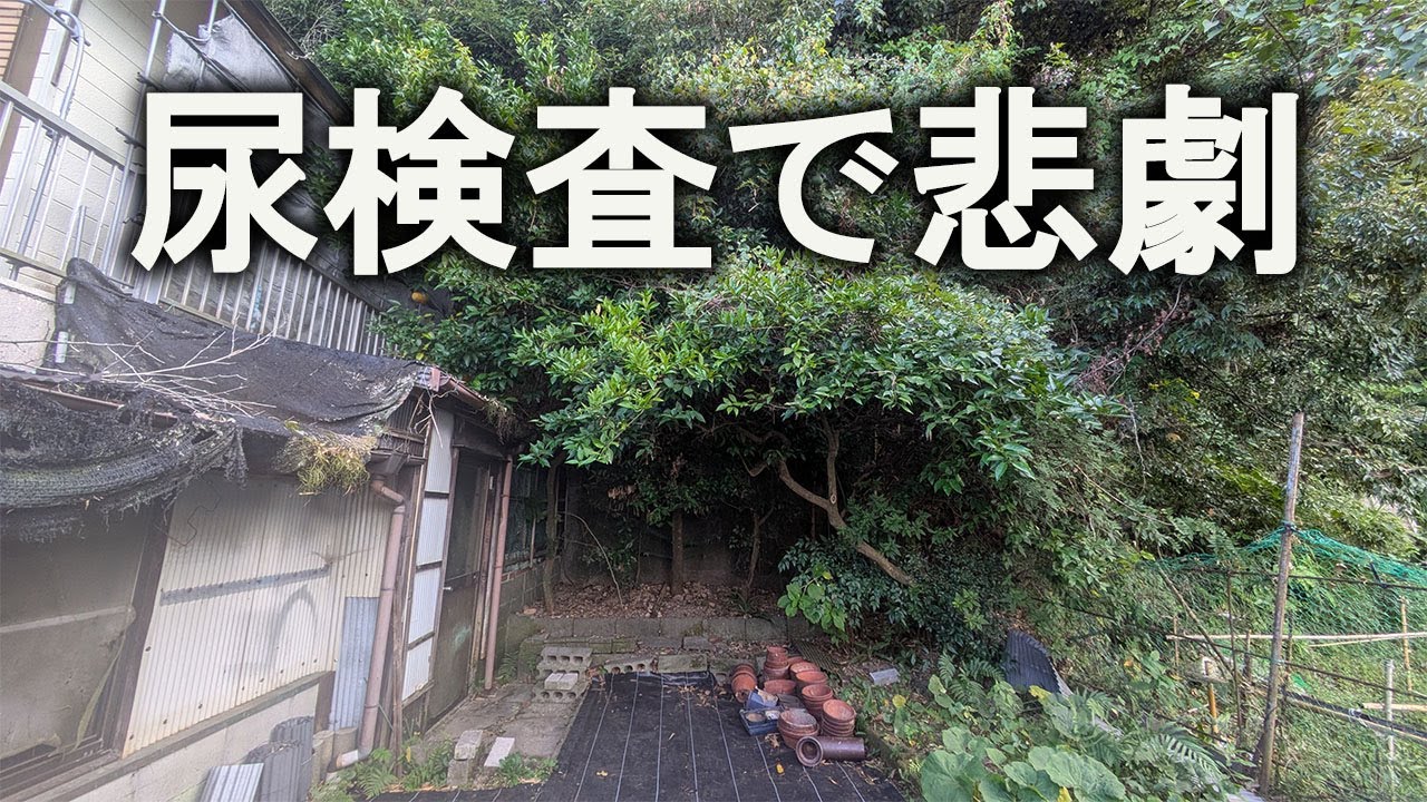 【片付け】金網突き破ってお隣で太陽を浴びてる謎の木のお手入れ！人間ドックあとの精密検査～泌尿器科編～｜汚部屋｜ズボラ主婦｜空き家｜庭仕事｜荒地開拓