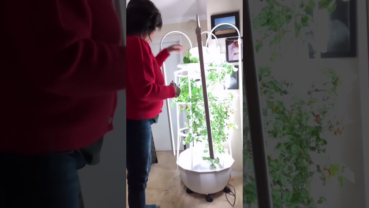 🌱Elevate your home garden with the ultimate vertical oasis! 🏡