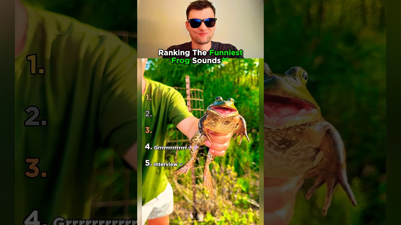 Top 5 Frog Sounds That Made Us Lose It!