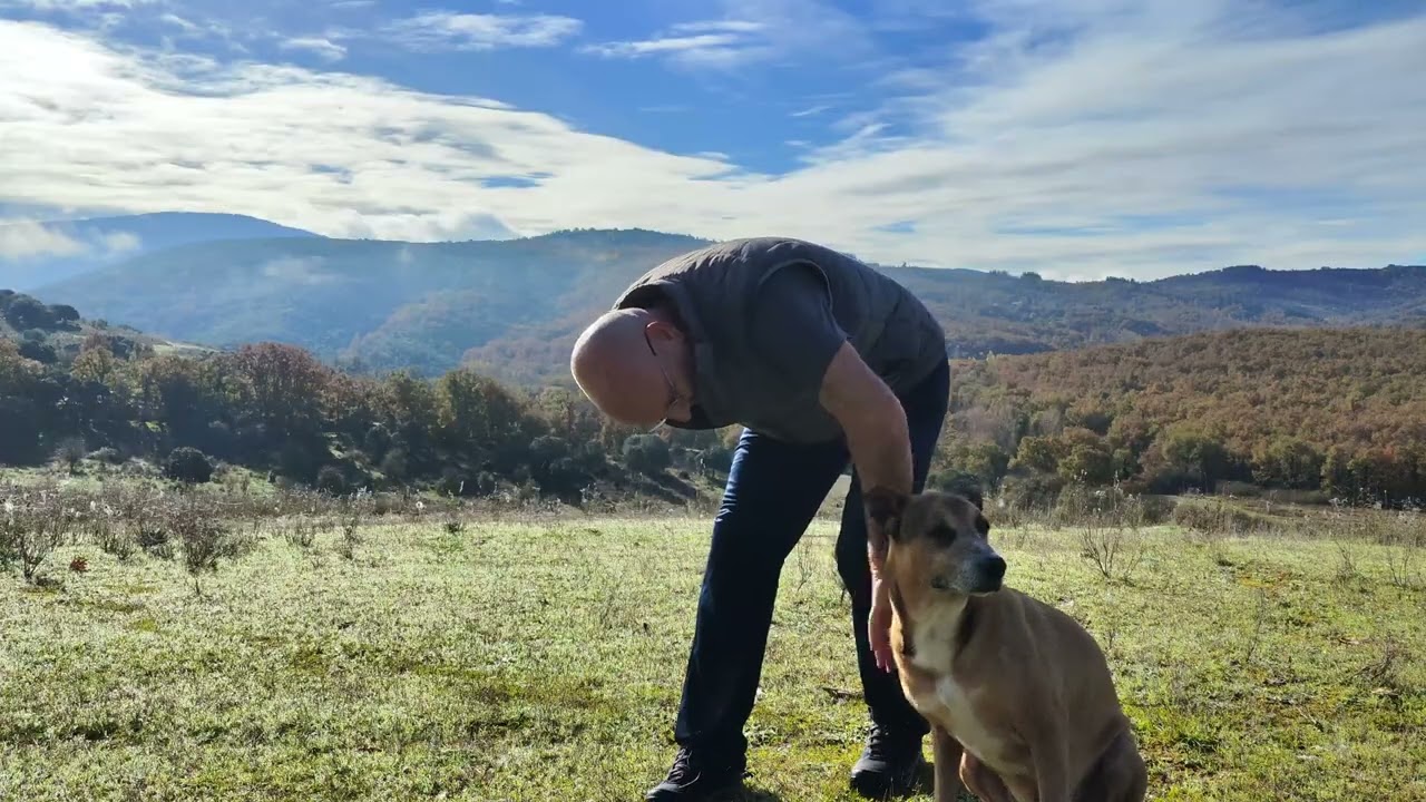 Rutas en el Bierzo. Toreno   Ruta   La senda del Jabalí.
