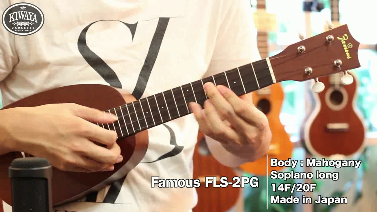 KIWAYA 商品紹介 &rdquo; Famous FLS-2PG