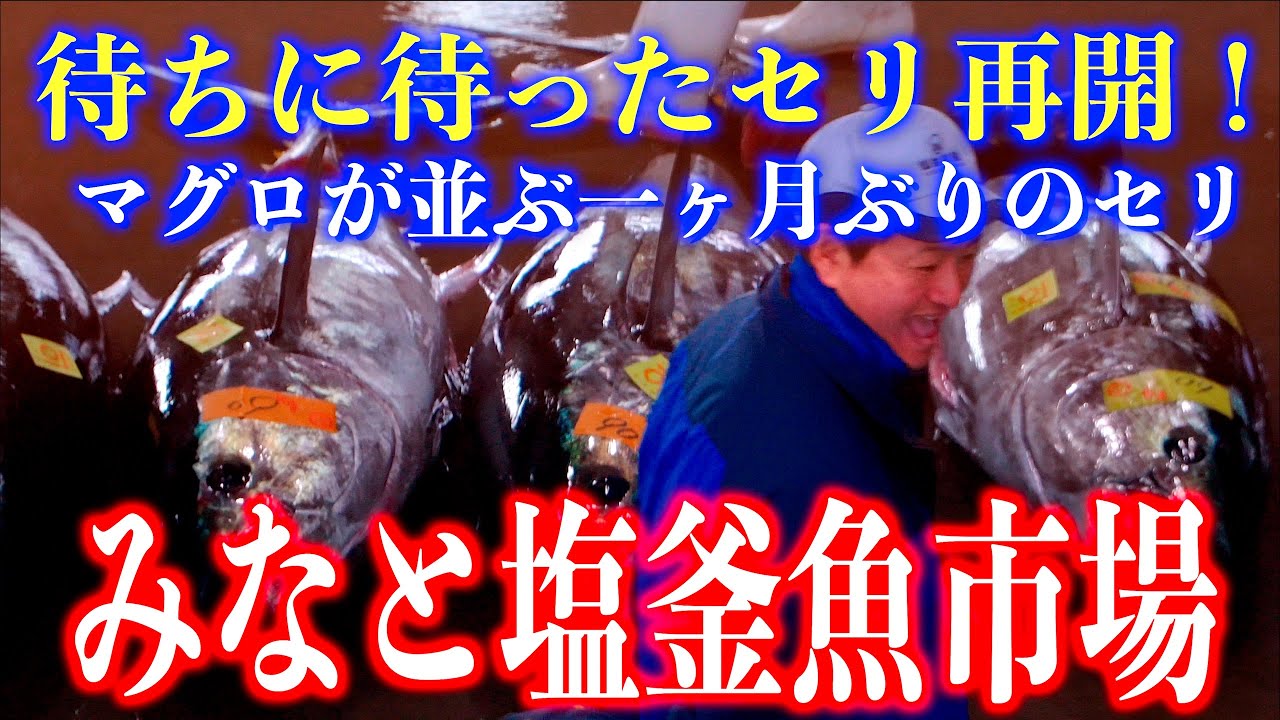 「みなと塩釜魚市場」一ヶ月ぶりのセリ再開！マグロが並ぶ 2025/03/22