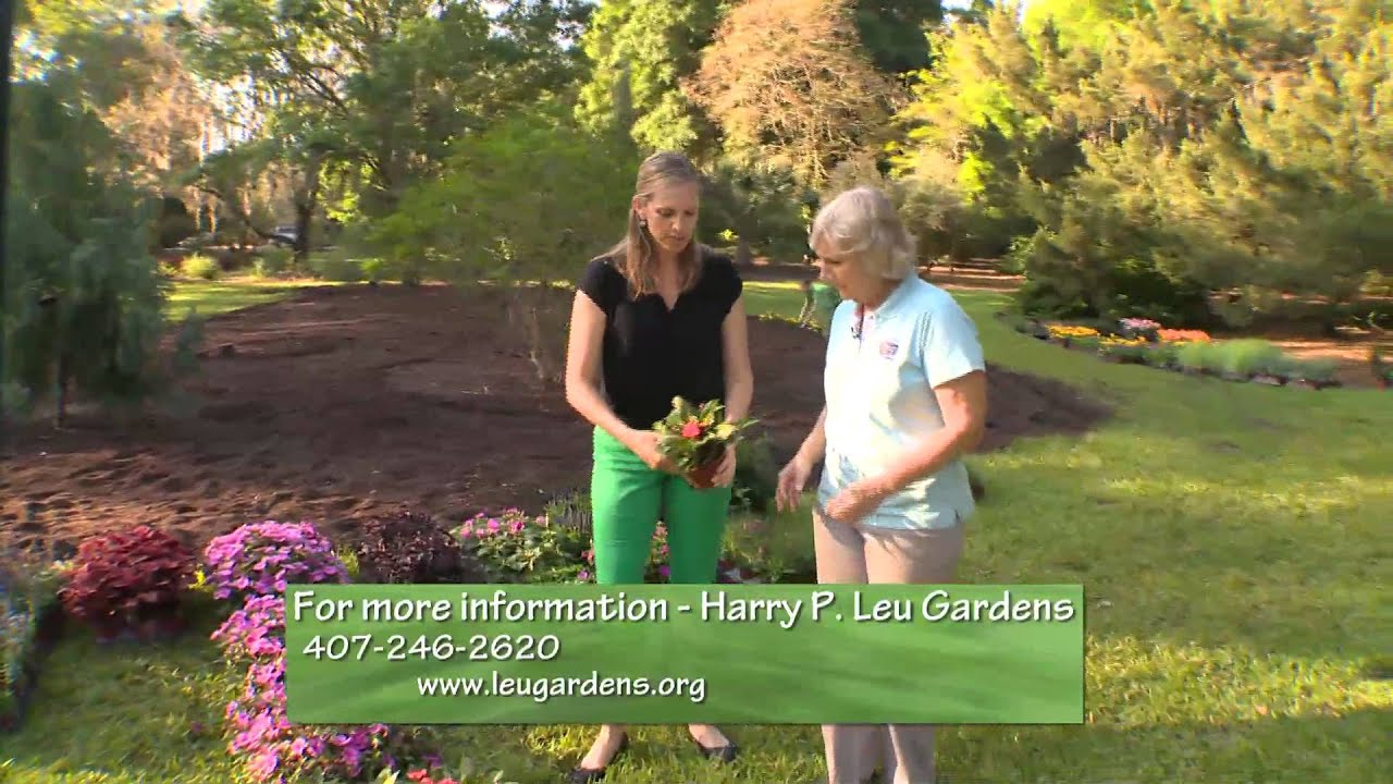 Central Florida Gardening - Flower Trials at Leu Gardens