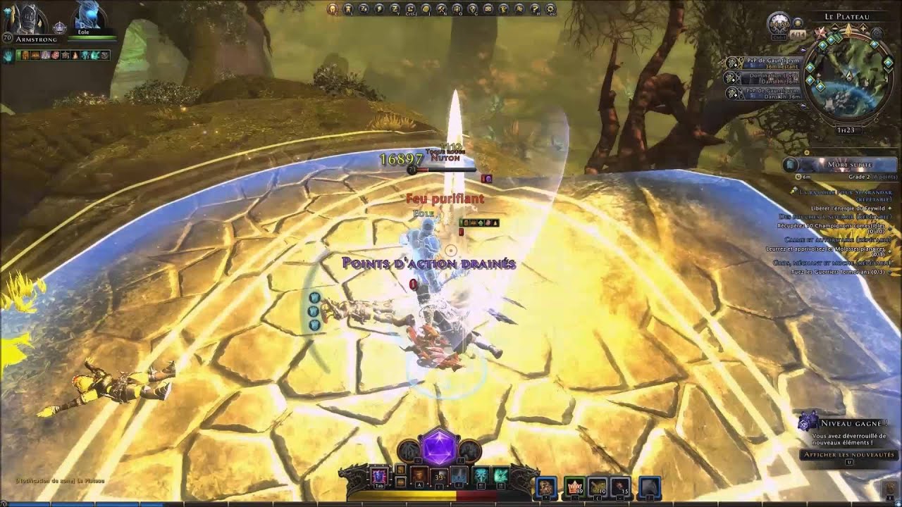 Neverwinter Online - Le Paladin Féal - Playthrough 36: Sharandar - Le Jardin Flétri [PC][HD][FR]