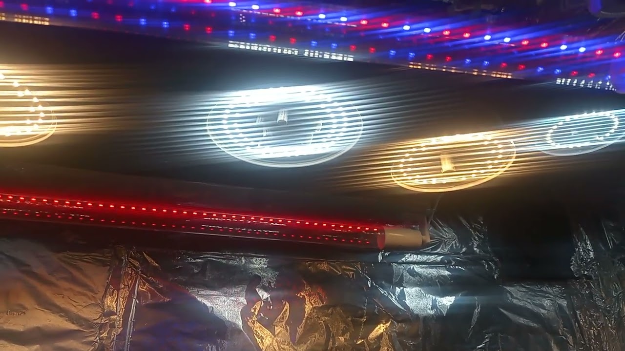 Luces Galponeras en indoor/Cannabis
