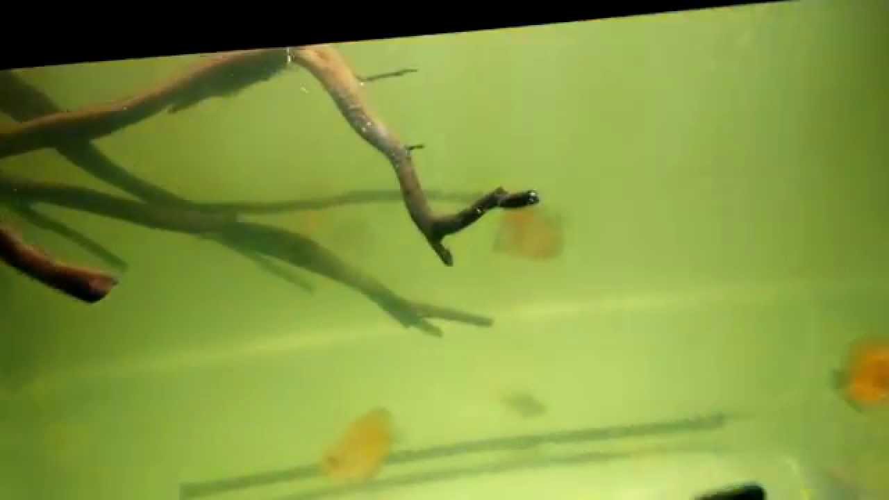 VID 20150105 121009